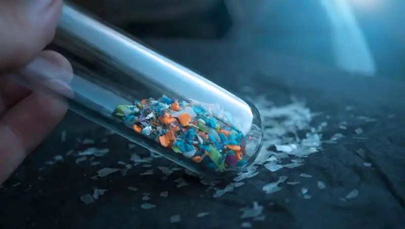 Mikroplastikler İnsan Beyninde Ne Kadar Tehlikeli? Yeni Araştırma Şok Ediyor!